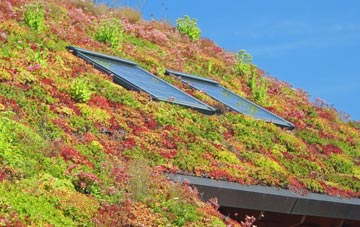Glenboig living roof systems